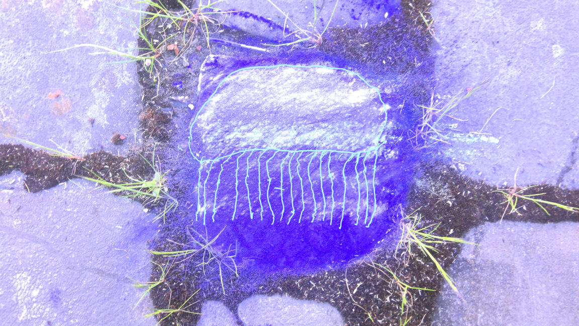 Le Conservatoire est sur Instagram !